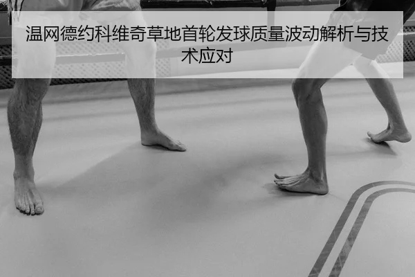 wen-wang-de-yue-ke-wei-qi-cao-di-shou-lun-fa-qiu-zhi-liang-bo-dong-jie-xi-yu-ji-shu-ying-dui-2-751.jpg